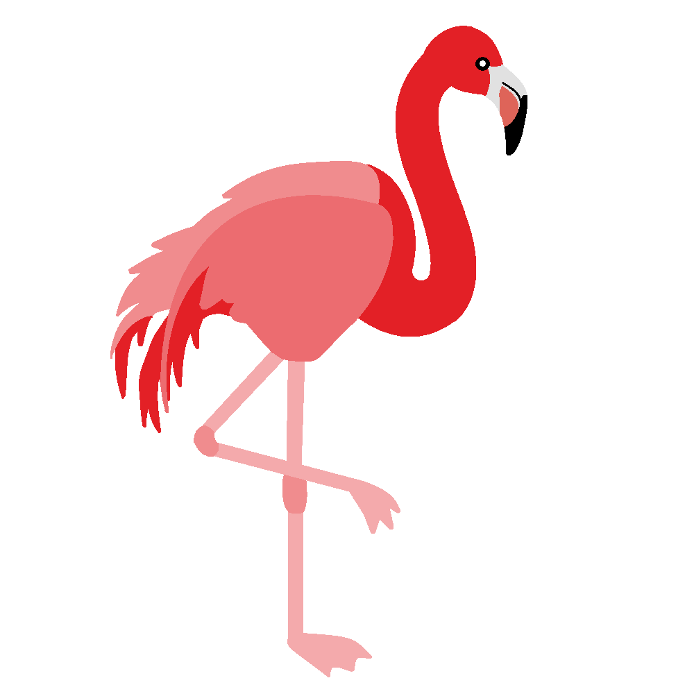 Flamingo clip art images