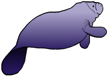 Manatee Clipart on Behance