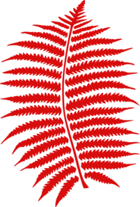 red-fern-md.png