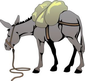 Cartoon, Donkeys and Clip art