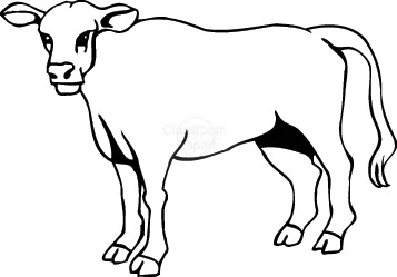 Pictures Of Cow | Free Download Clip Art | Free Clip Art | on ...