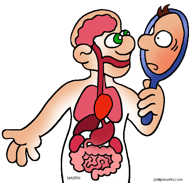 Free clipart human body parts