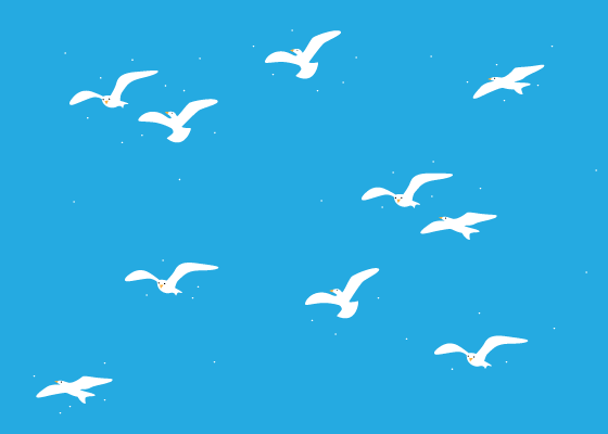 Seagull Template - ClipArt Best