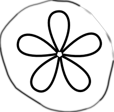 Sand Dollar Clip Art - ClipArt Best