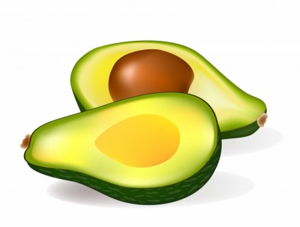 Avocado Clipart | Free Download Clip Art | Free Clip Art | on ...