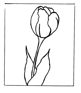 Janelle Johnson CDA, TDA » Blog Archive » tulip line drawing