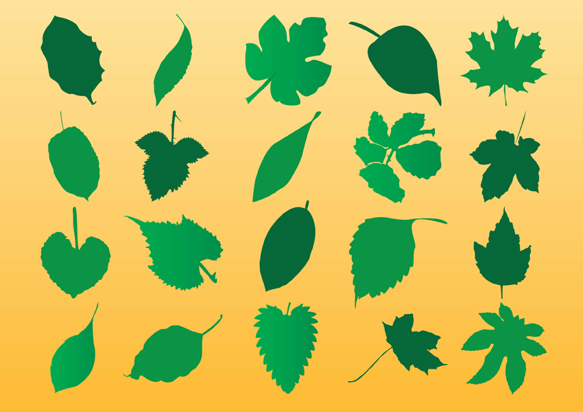 Free Oak Vectors