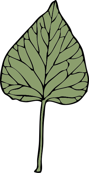 ivy leaf 6 small clipart 300pixel size, free design