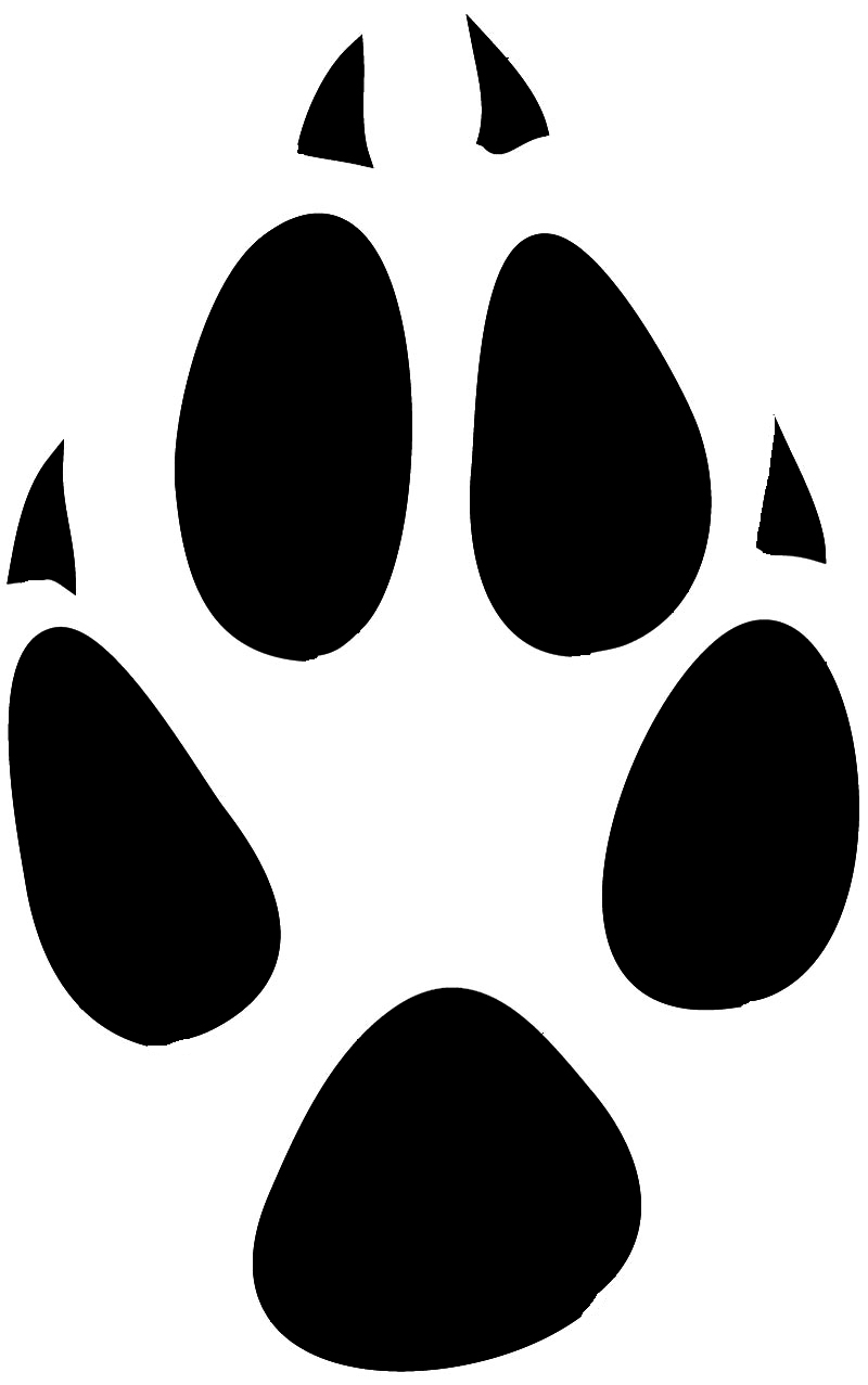 Baisteachceilteach Deviantart Art Fox Paw Print Tribal