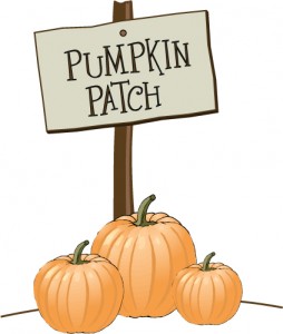 Gardner Team Real Estate » Pumpkin Patches and Halloween Fun ...