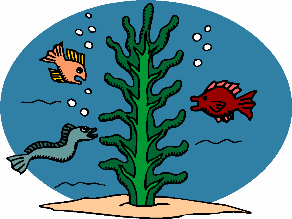More Clip Art Illustrations Under The Sea