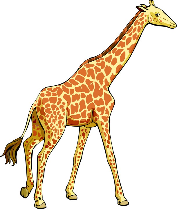 Cute giraffe clipart clipartfest