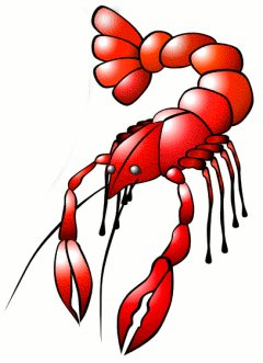 Lobster Clip Art Images - Free Clipart Images