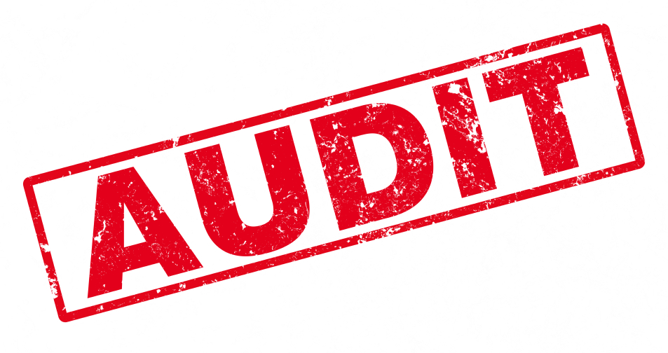 John Olsrud: Is There Such A Thing As Too Many Audits? - Say Anything