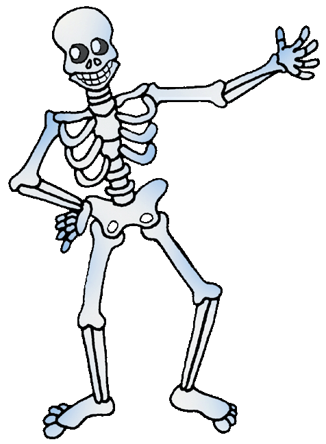 Human Skeleton Outline - ClipArt Best