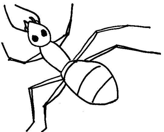 Homes Ants Clipart