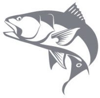 Marine Wildlife Fine Art, Custom Design and clipart | Unique ...