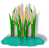 Cattail Clip Art - Five Gold Cattails in Water