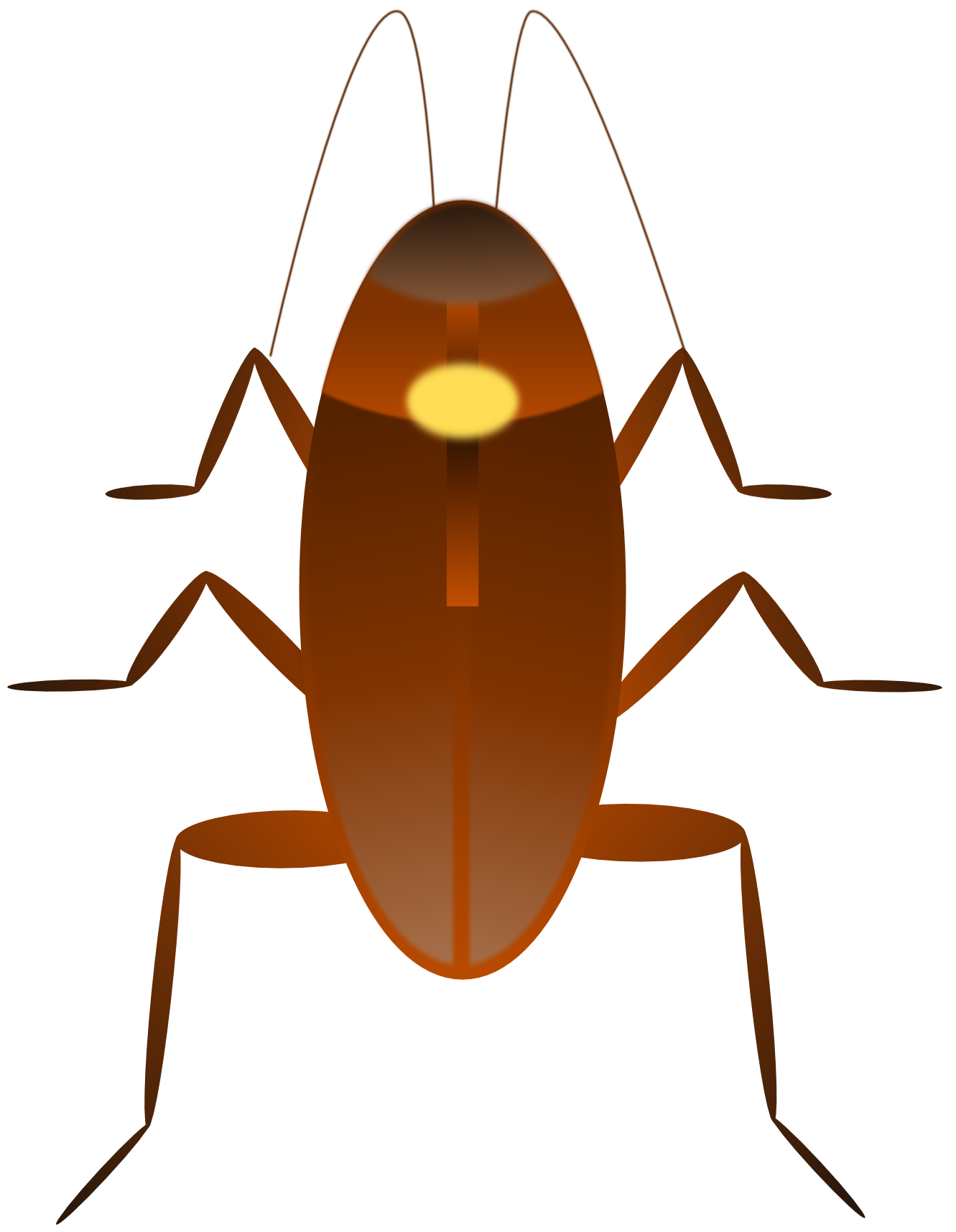 cockroach cucaracha scalable vector graphics svg SVG