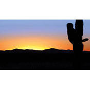 Desert Background Pictures - ClipArt Best