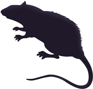 Silhouette Online Store - View Design #21882: rat silhouette