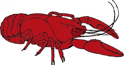 Crayfish clip art Vector clip art - Free vector for free download