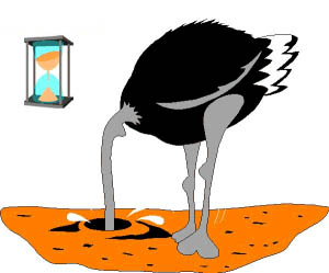 ostrich bird clipart images