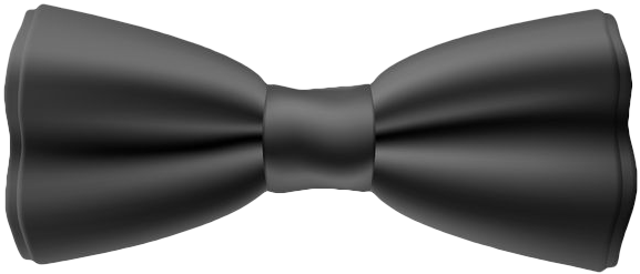 Bow ties | El Paso Photo Booth Rental