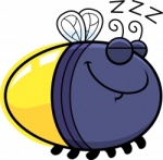 Cartoon Bugs | Cartoon and Clip Art Images