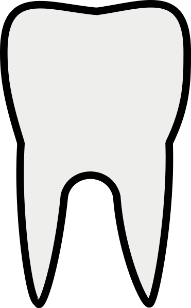 Tooth Line Art SVG Vector file, vector clip art svg file ...