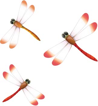 Dragonfly Free Vector / 4Vector