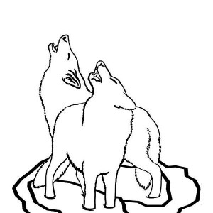 Cute Colouring Pages Baby Wolf - ClipArt Best