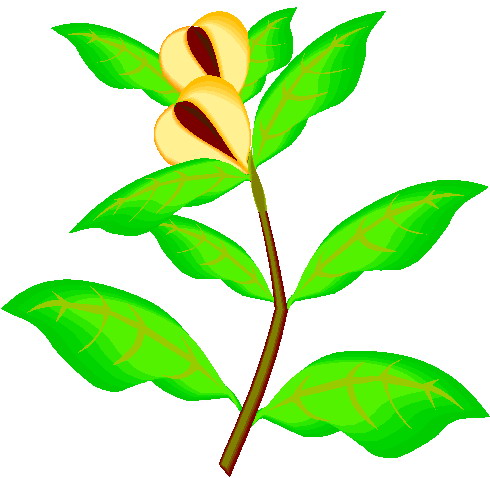 plant clipart clip art plants #210203 | 153 Paint Clipart | Tiny ...