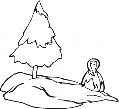 Pine Trees coloring pages | Super Coloring