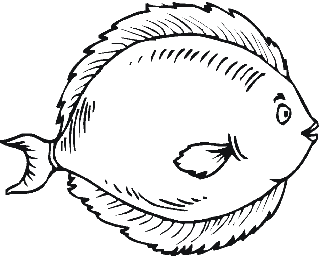 Line Drawing Of Fish