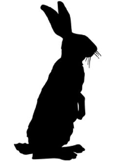 Silhouette and Rabbit