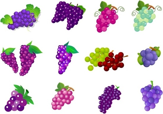 Grape free vector download (407 Free vector) for commercial use ...