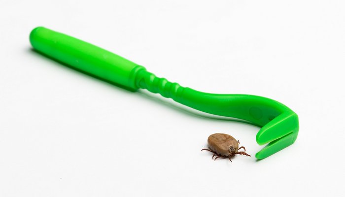 How To Remove A Tick From A Dog: A Simple Video Guide - Top Dog Tips