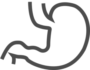 Stomach clipart black and white