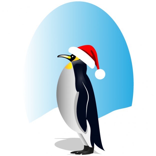 Penguin | Photos and Vectors | Free Download