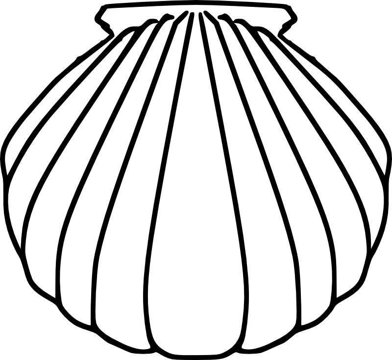 seashell-template-clipart-best