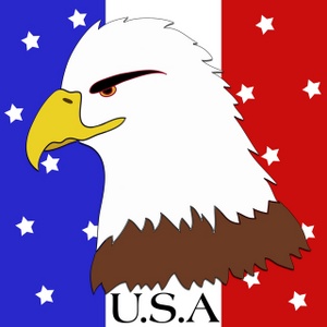 American Eagle Clipart Image - Proud Bald Eagle Bird of Prey with ...