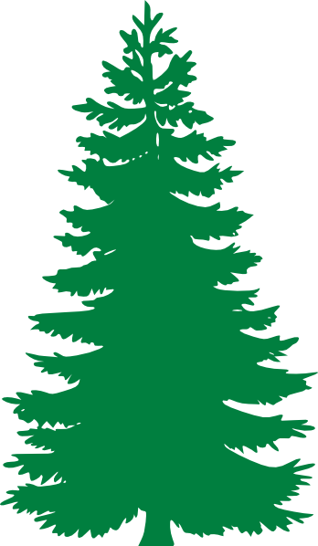 Pine tree clipart drawn