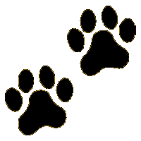 Dog paw print clip art free download - ClipartFox