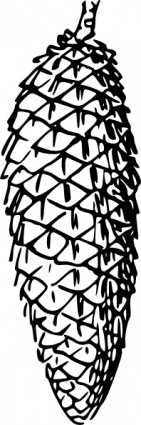 pine-cone-clip-art_t.jpg