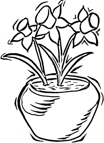 Daffodils - Free Coloring Pages #8290 to print | coloringpics Free ...