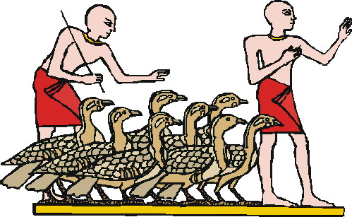 Clip Art - Clip art geese 269384