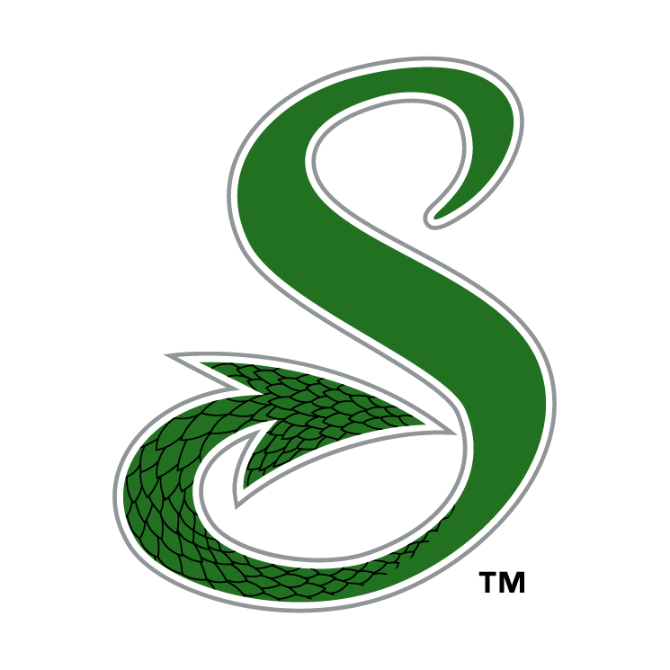 Shreveport swamp dragons 2 Free Vector