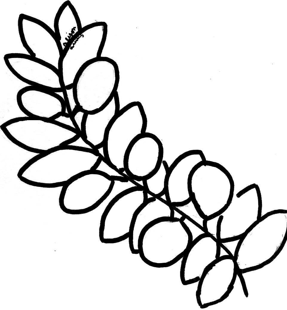 Branches For Coloring - ClipArt Best