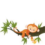 Baby Monkey Clip Art - Free Clipart Images